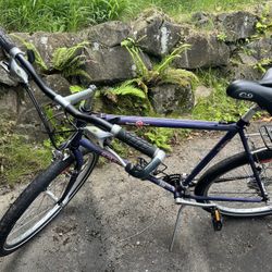 Trek 850 large road/mountain bike