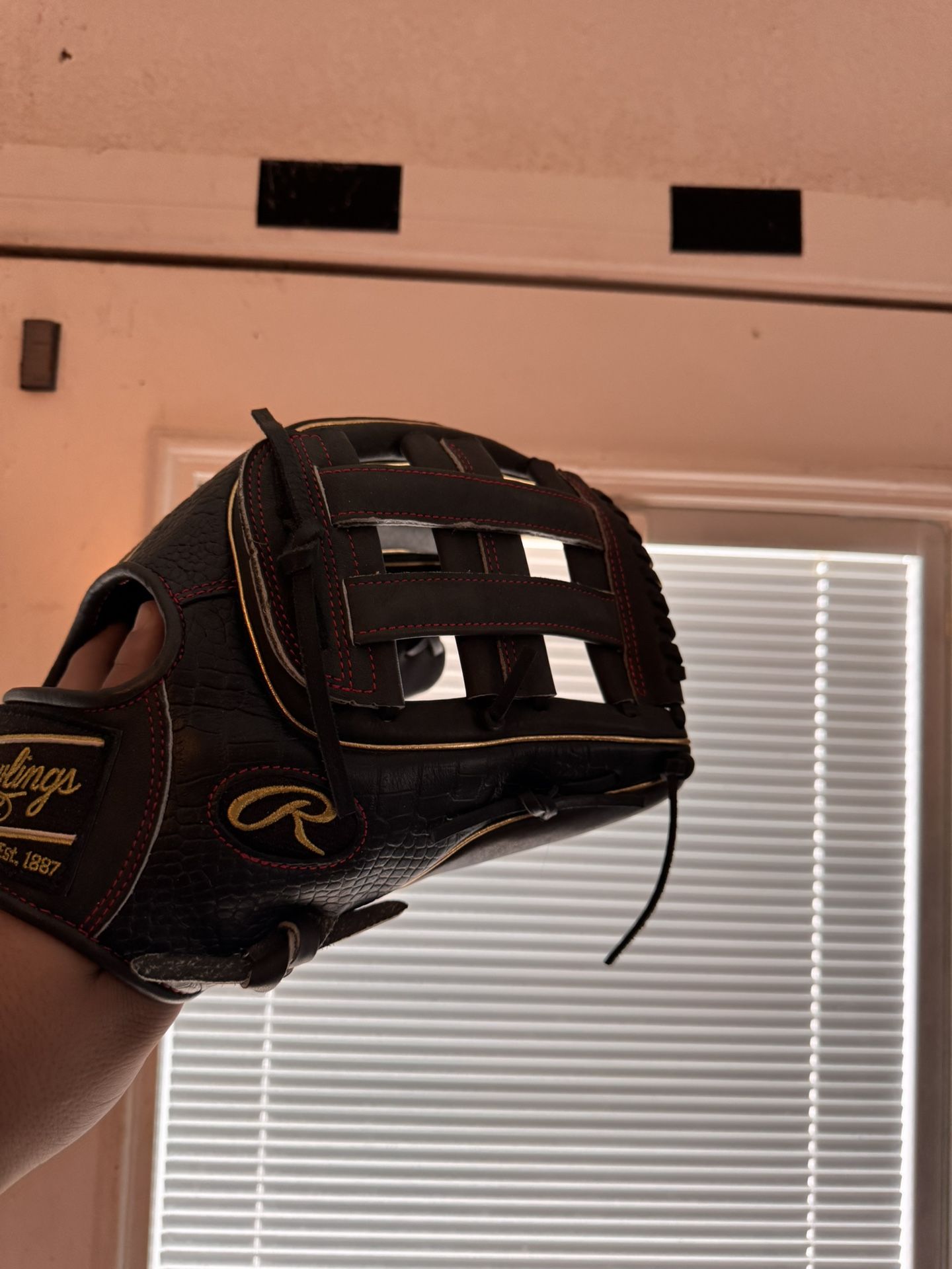 Ball Glove