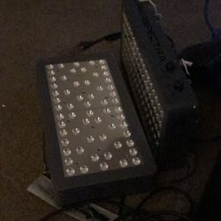 Lights 