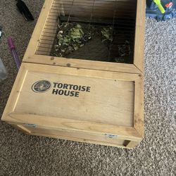 Tortoise house