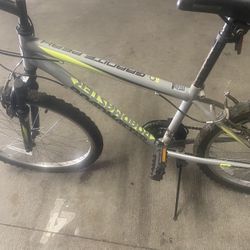 Road masters Bike 