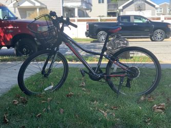Liv Bike