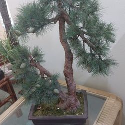 Large Artificial Bonsai Tree
