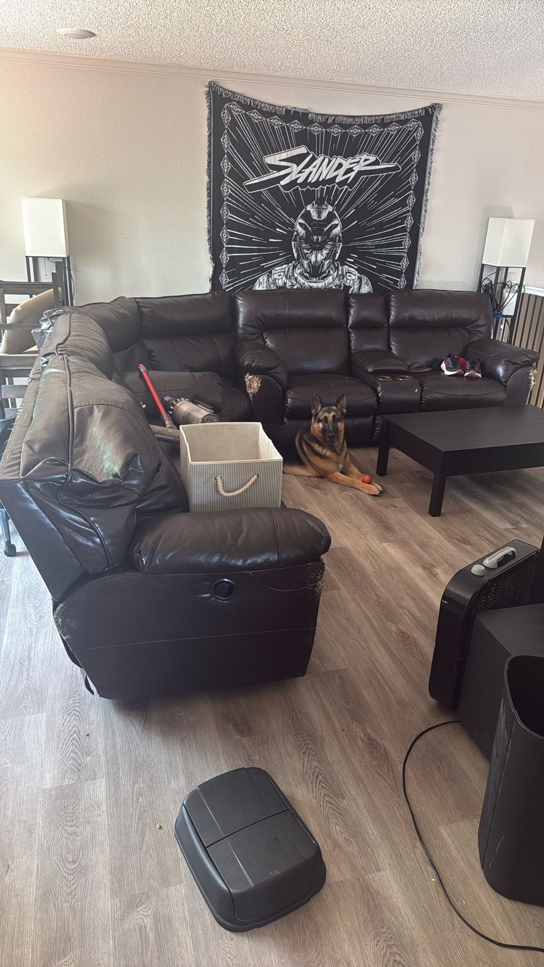 Sectional Couch