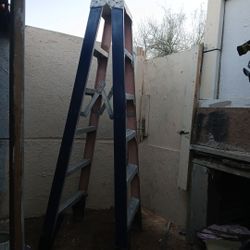 6 Ft.  Twin Step  Fiberglass 