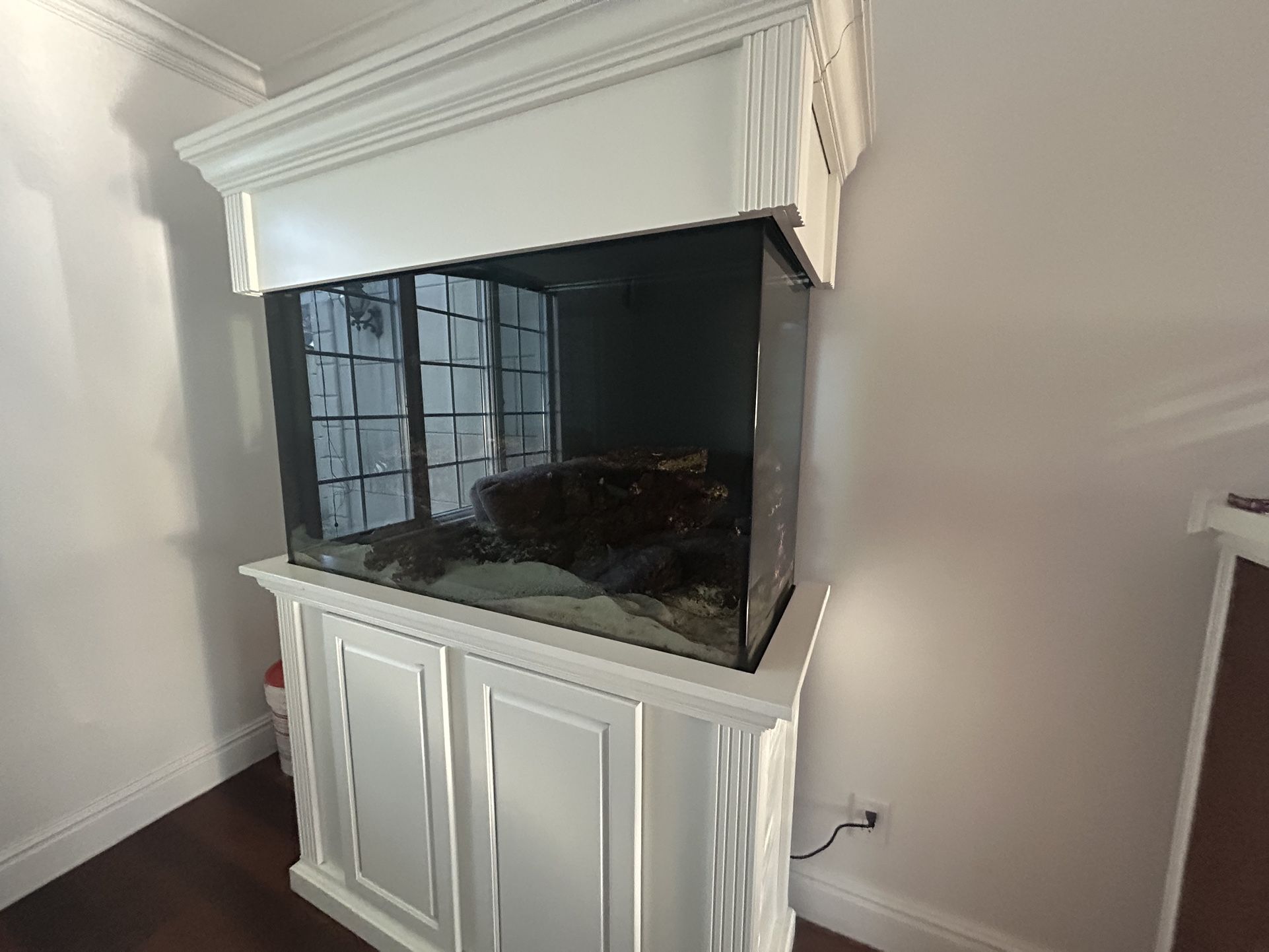 fish tank 