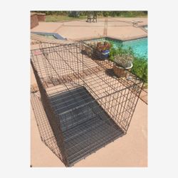 Top Paw 42-Inch Folding Wire Dog Crate with Tray