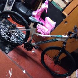 Schwinn Bike