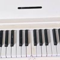 88 Sonart Keyboard With  Case/ Bag