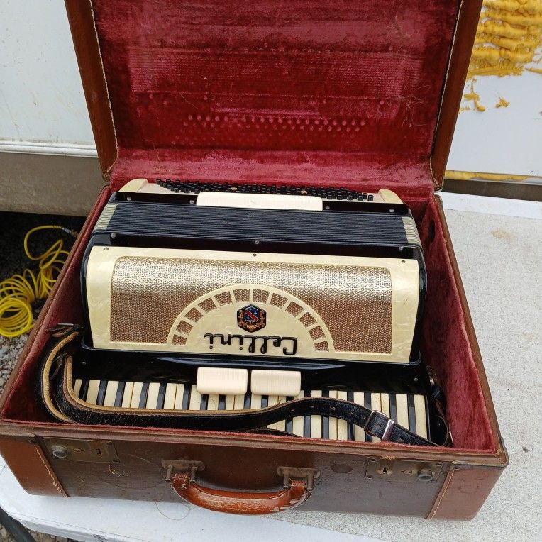 Italian Cellini Accordion & Case By Geib