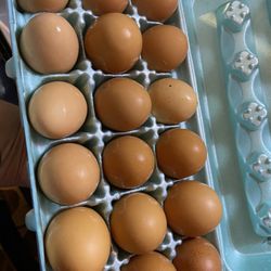 Farm Fresh Eggs 