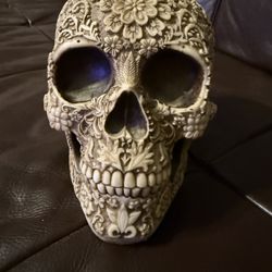 Decorative Collectors Skull