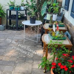 $20 For Any Two Plant Stand Plant Rack Plant Pedestals