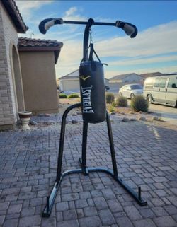 Everlast punching bag with stand and gloves