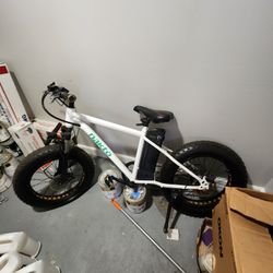 Electric bike 