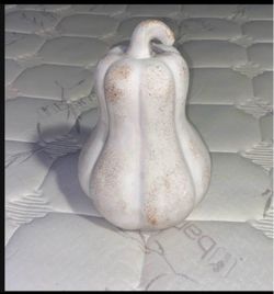 Harvest Gourd