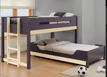 Brand New Oak & Purple Twin Size Bunk Bed