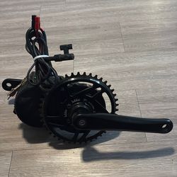 Lunacycle E-bike motor with lekkie chain ring