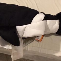 Black And White “Orca Whale” Dog Holoween Costume, Size XL (39” Long)