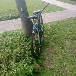 Motorized Bicycle