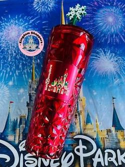 Brand New Disney Parks 2024 Tumbler