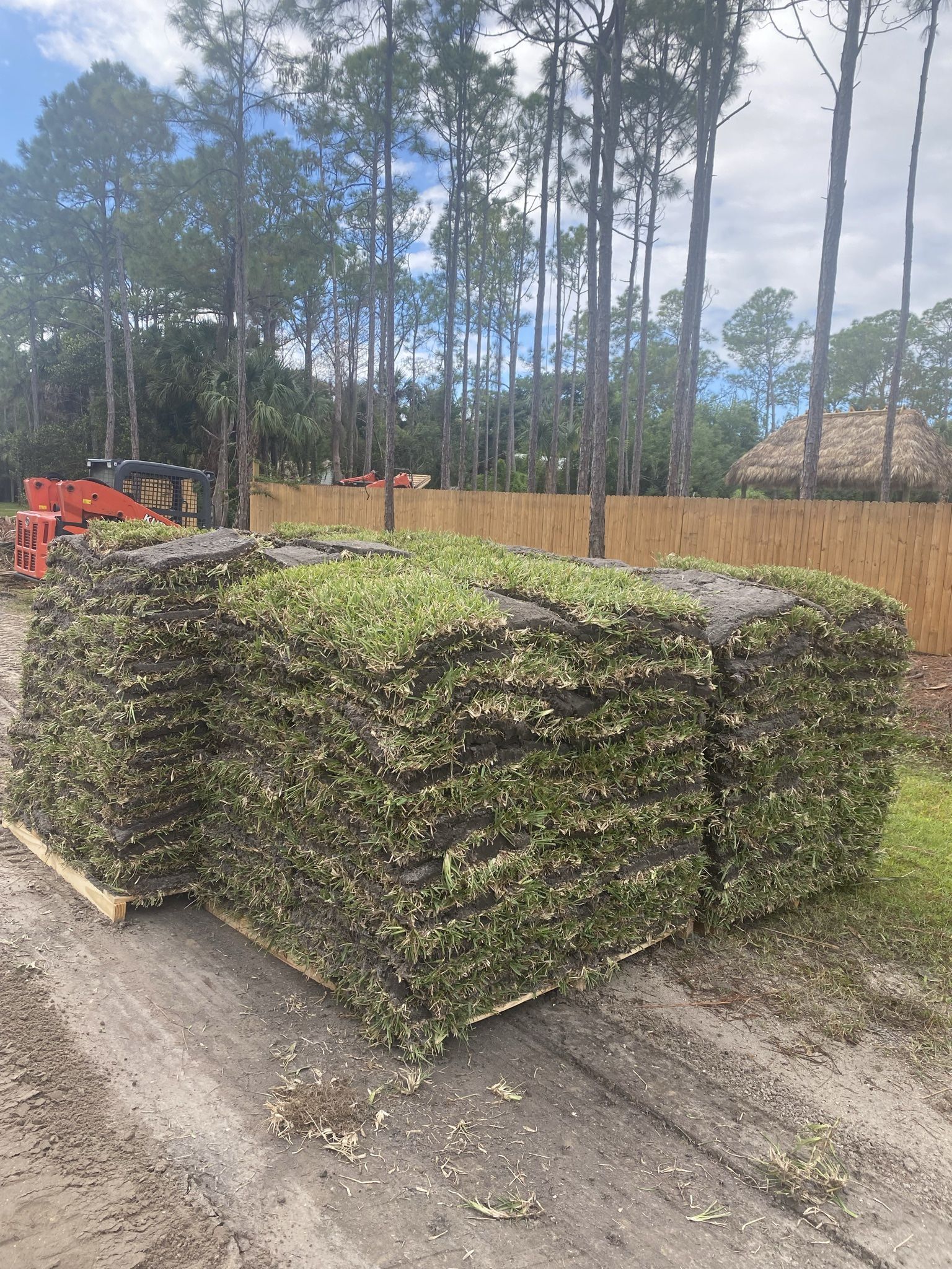 Cut To Order St. Augustine Sod
