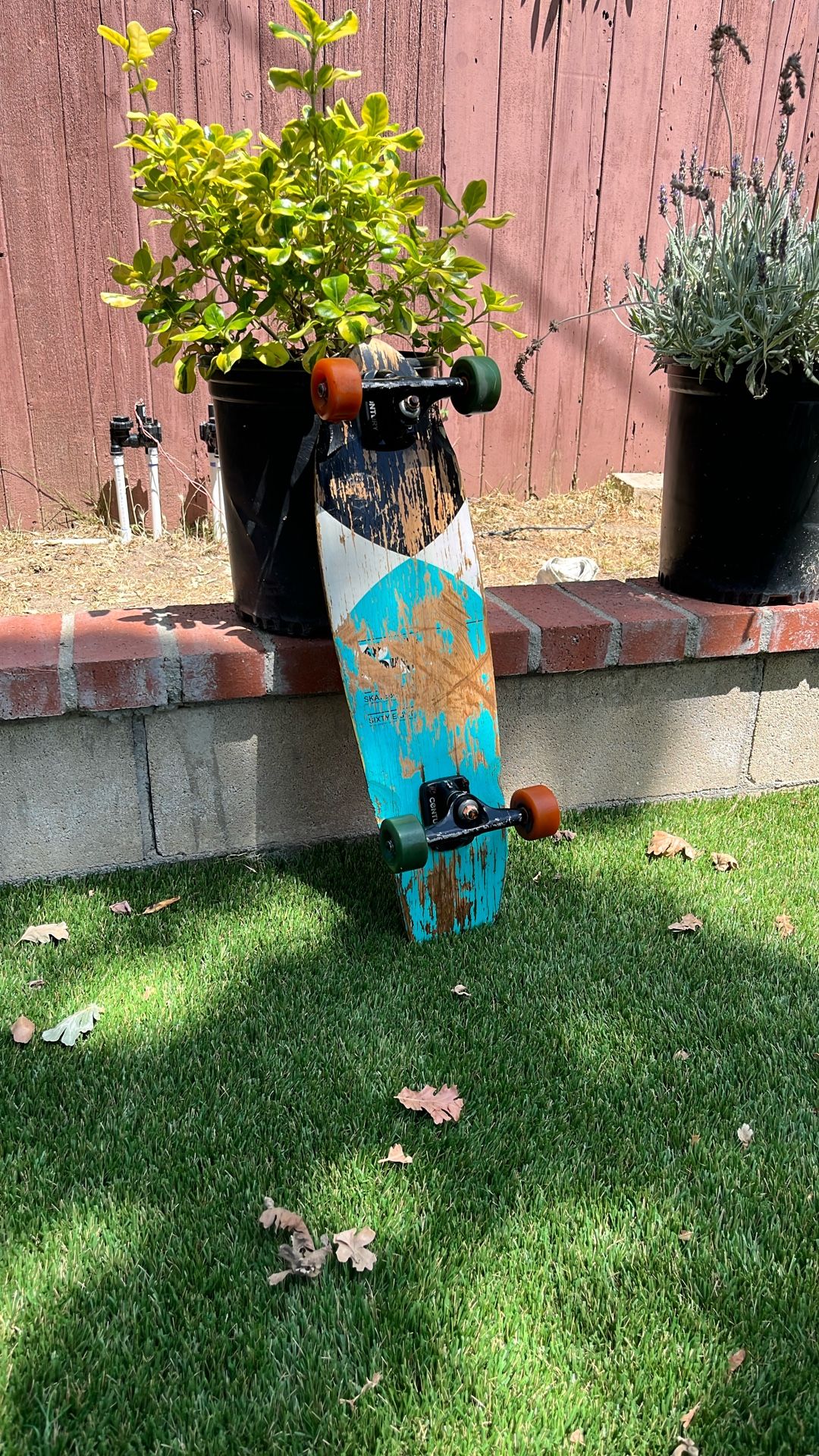 Vintage Skateboard