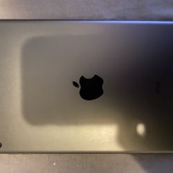 Apple Air pad Mini 5th gen 