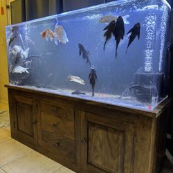 Fish Tank Aquarium 100 Gallon Acrylic 