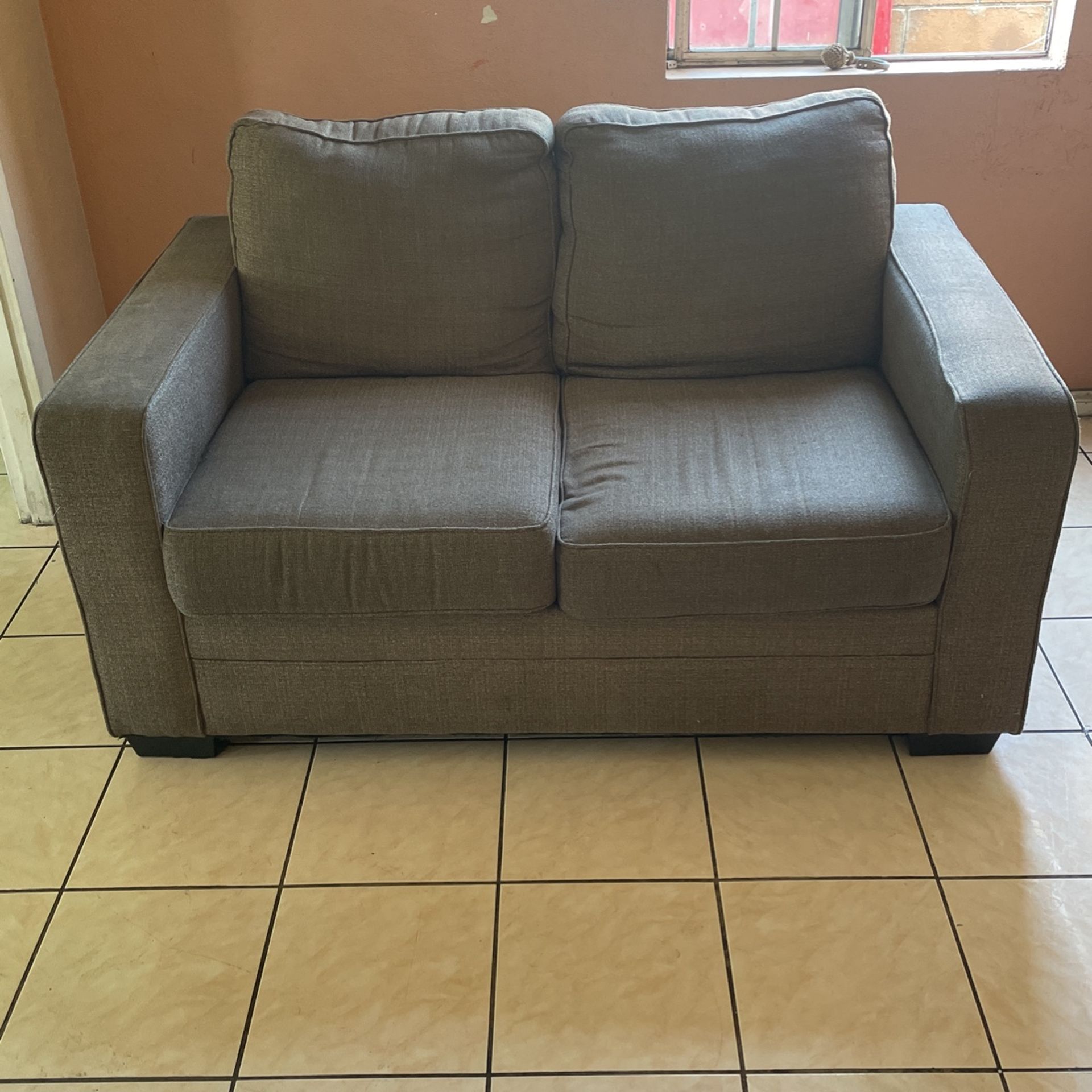 Grey Couch Love Seat 