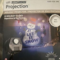 Seasonal Projection Lighting
