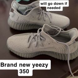 yeezy 350 v2 
