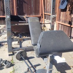 Olympic Bench Press With Weights And Bar