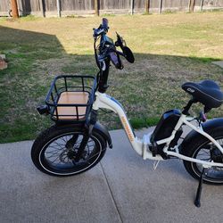 Rad electric bike