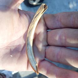 Artifacts and fossils