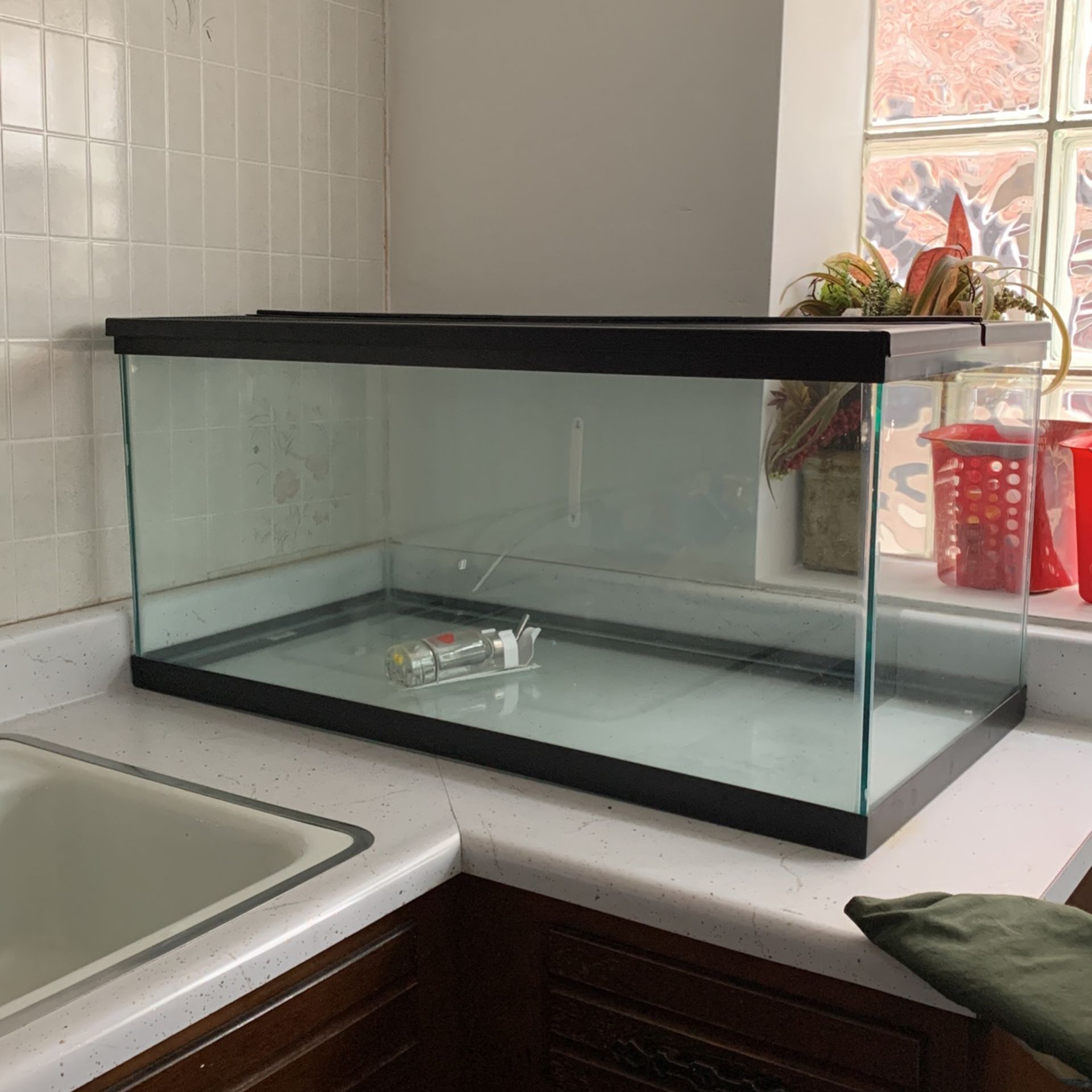 Glass Aquarium Display Case 