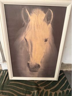 Horse Picture Huge