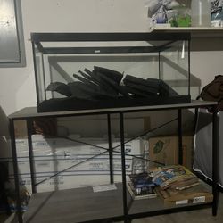 40 Gallon Fish Tank With Stand New