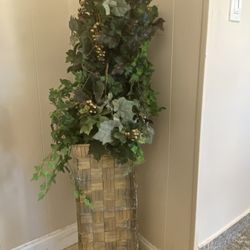 Very Beautiful Gorgeous Plants With The Beautiful Vaes