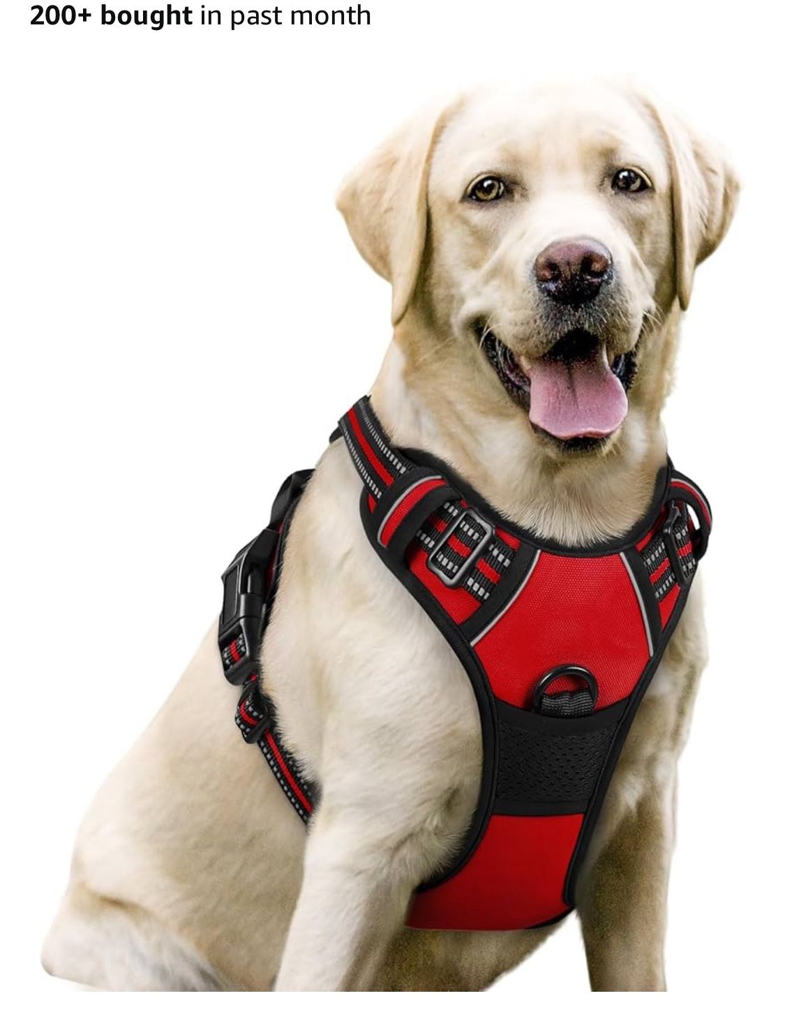 Pet