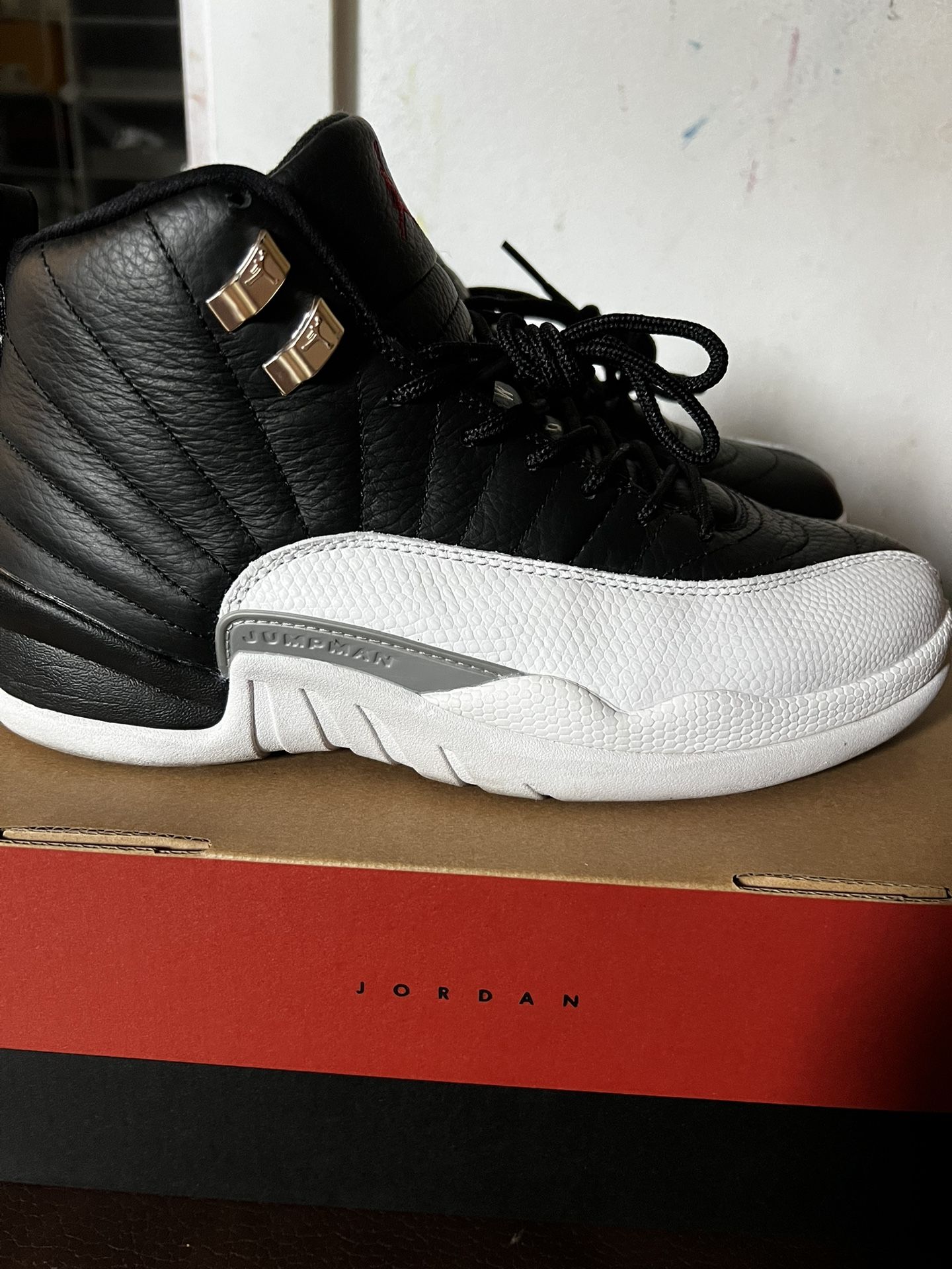 Air Jordan 12 retro!