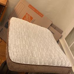 Never Used Dog Bed *Clean* 