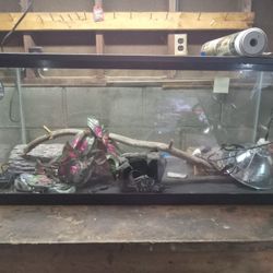Pet Tank