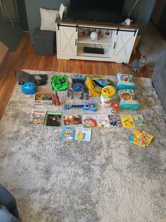 Free Kid Toy Lot Mega Blocks Dinosaur Books & More