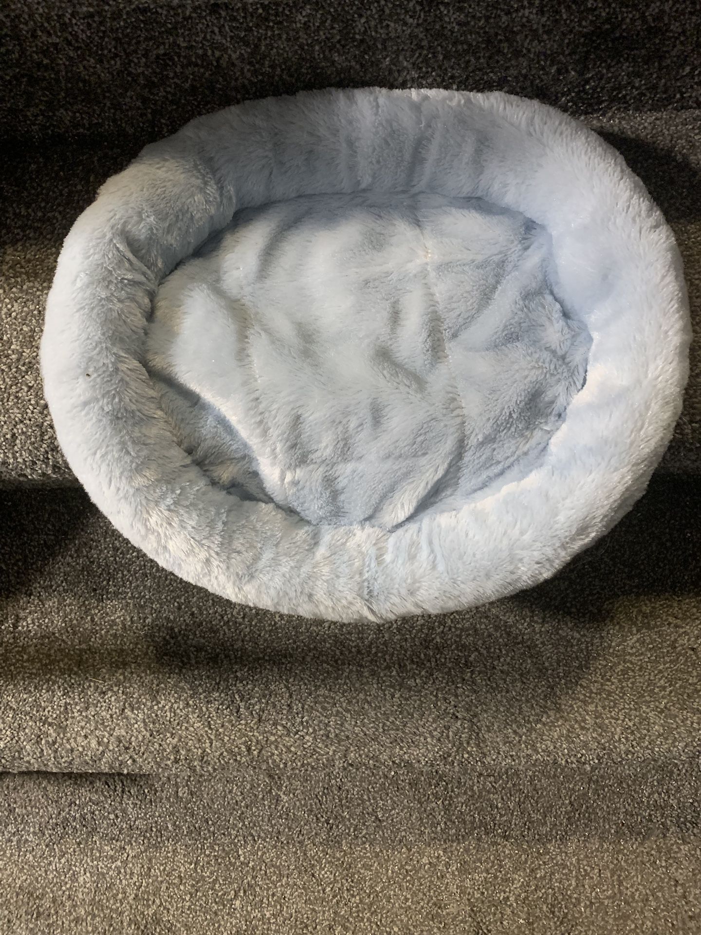 Like New Pet Bed! 🐶🐾😻🐾