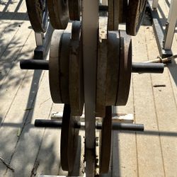 Weights,squat Rack,curling Bar