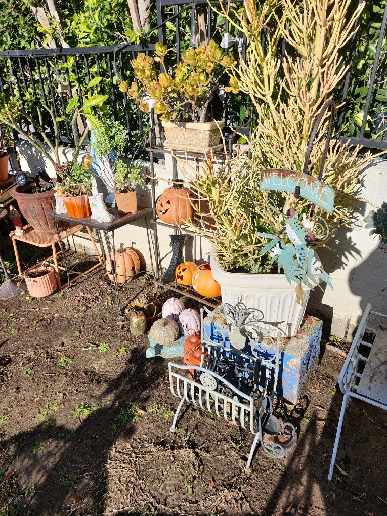 Big Sale Going On Today !!!!