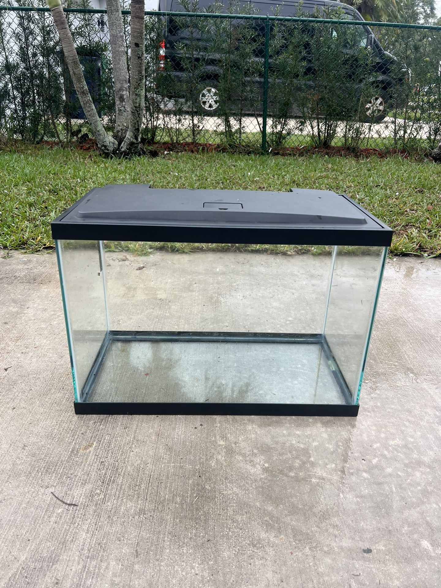 Fish 🐠 Tank