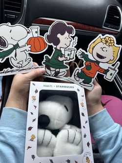Snoopy plushy w/cardboard displays