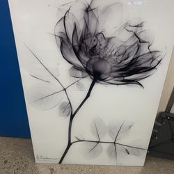 Albert Koetsier Framless Art On Tempered Glass